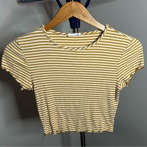 Full Tilt Yellow Stripped Ribbed Crop Top with Cap Sleeves
